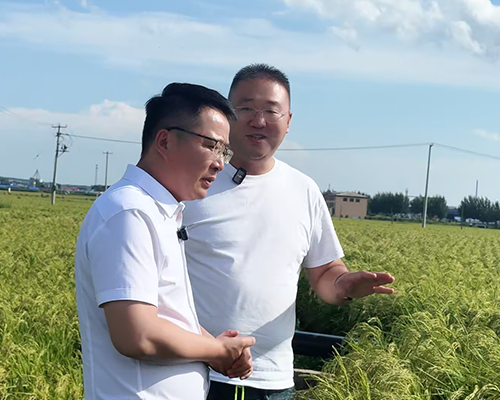 【溯源】五常大米