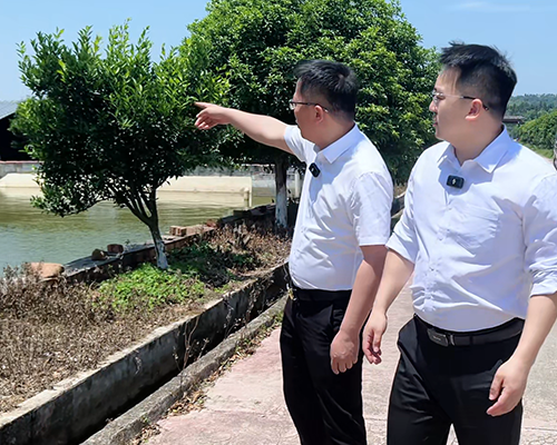 【溯源】南丰甲鱼